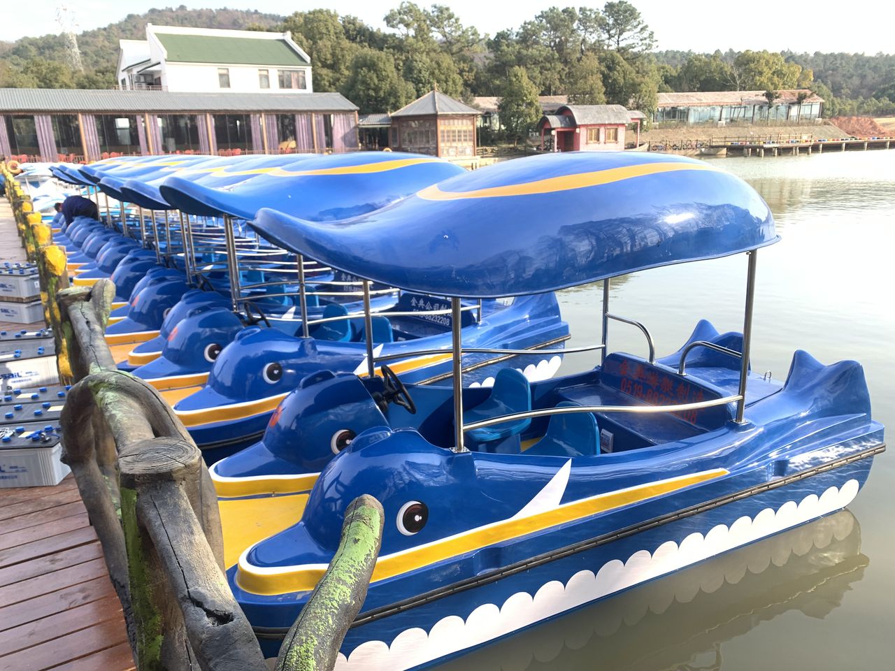 海豚電動船  電瓶船